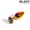 Black Label - Metalen Buttplug met Siersteen - Rainbow - Medium