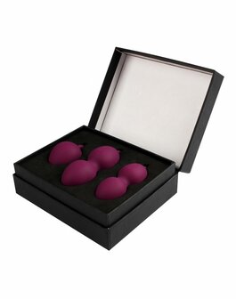 Svakom Nova Kegel Balls - paars