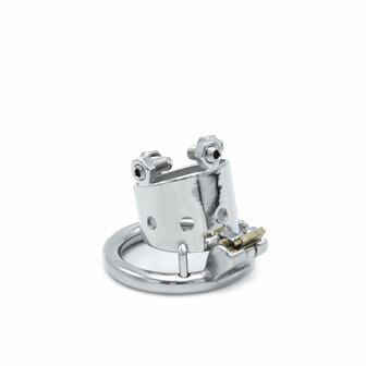 Kiotos Steel RVS Torture Chastity Device