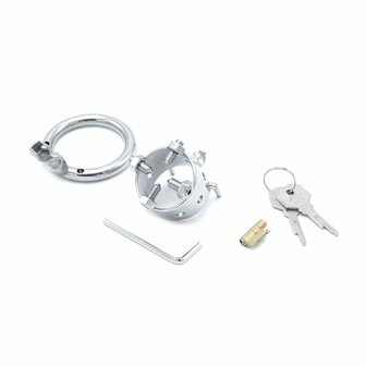 Kiotos Steel RVS Torture Chastity Device