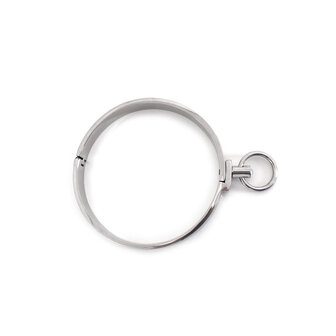 Kiotos - RVS Collar Solid - Medium - Diameter 11.5 cm