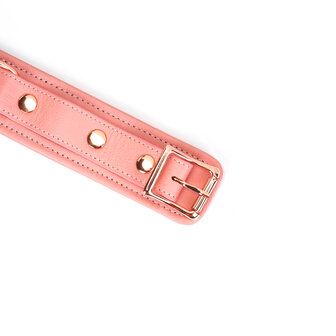 Liebe Seele - Pink Dream Leren Collar met Leiband - roze