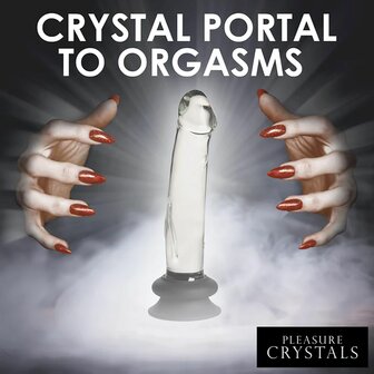 Pleasure Crystals - Glazen Dildo Met Siliconen Basis - 19 cm x 3.8 cm - Transparant