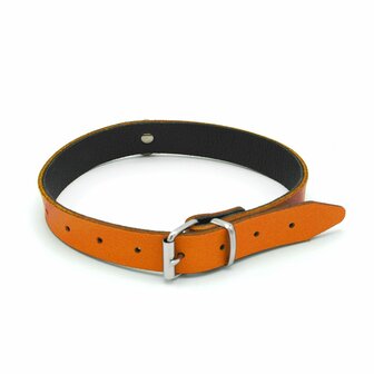 Kiotos Leather - Collar met Kleine O-ring - Leder - Oranje