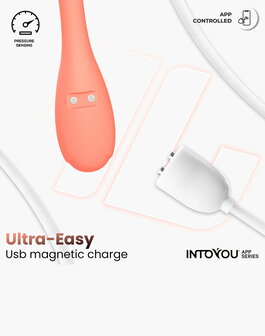 IY - Kyra - App Bediende Bekkenbodemtrainer Vaginaballetjes  met Vibratie &ndash; Oranje