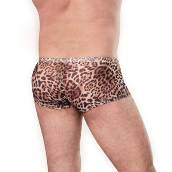 Amorable - Transparante Luipaard Heren Short - Panterprint - Maat S/M
