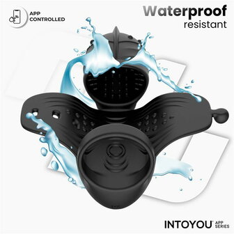 IY - Zonte - Roterende en Vibrerende Cap Masturbator - App Control &ndash; Zwart