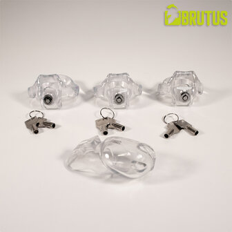 Brutus - Clicklock - Kuisheidskooi - Transparant