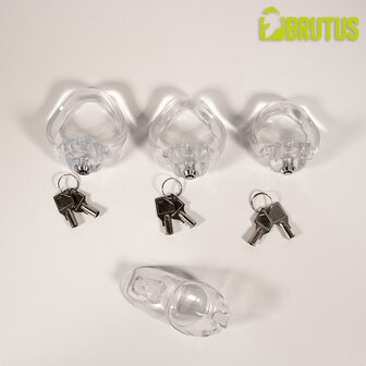 Brutus - Clicklock - Kuisheidskooi - Transparant