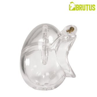 Brutus - Orb - Kuisheidskooi - Transparant