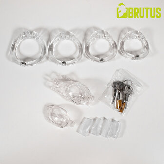 Brutus - Doorman - Kleine Kuisheidskooi - Transparant