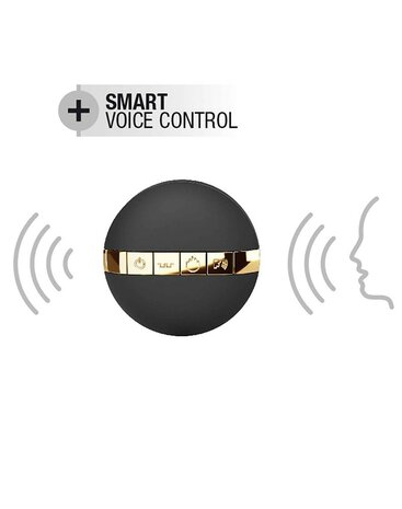 Dorcel - Secret Delight - Vibrerend Ei - Met Voice Control - Zwart