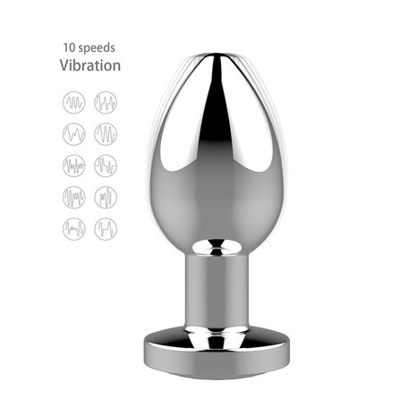 RVS Vibrerende Buttplug met Afstandsbediening