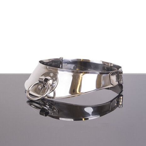 Kiotos Steel - Locking Collar Met Ring - 12 cm