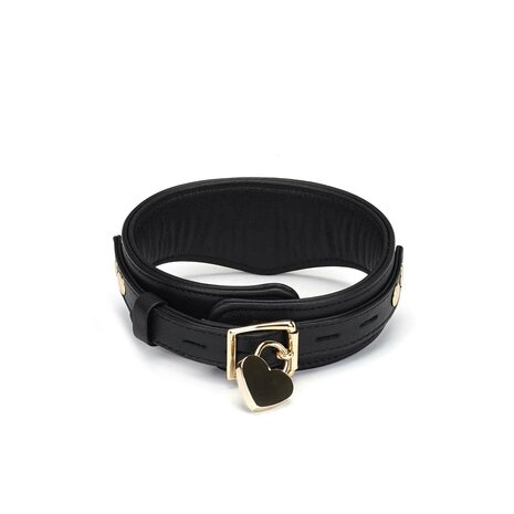 Dark Secret Exclusieve Curved collar met leiband en goud metalen beslag - zwart/goud