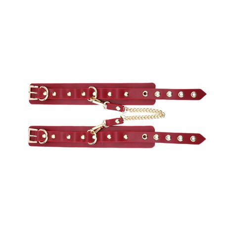 Kiotos - BDSM Fancy 5 Item Kit - Luxe Draagtas met 5 Verschillende BDSM Artikelen - Rood