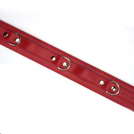 Liebe Seele - Bright Red - Bondageset Dijbeenboeien naar Handboeien - PU Leer - Vegan - Rood/Goud