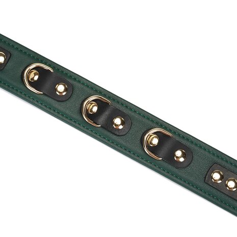 Liebe Seele - Mossy Green - Leren Collar En Gouden Leiband - Exclusief En Luxe Ontwerp - groen