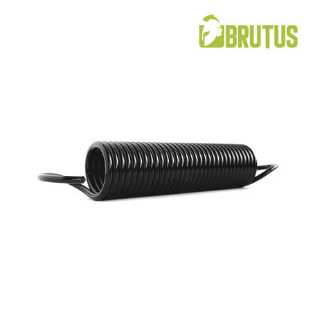 Brutus - Springveren voor de Sling Stand Springs (4x)