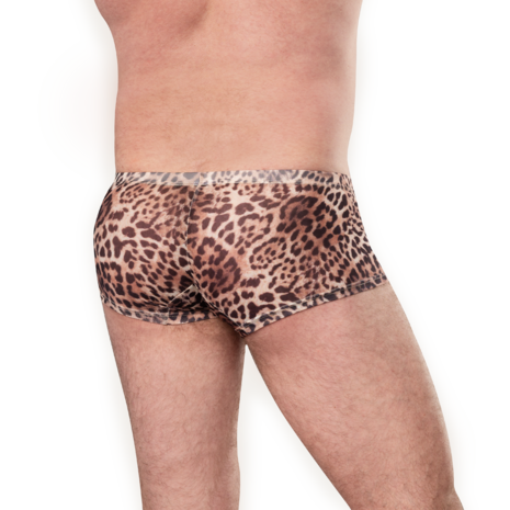 Amorable - Transparante Luipaard Heren Short - Panterprint - Maat S/M