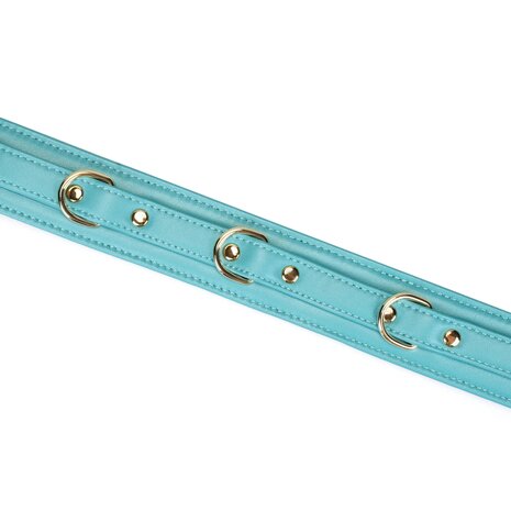 Liebe Seele - Siren's Cove - Lamslederen Collar met Leiband - Lichtblauw - Gouden Hardware
