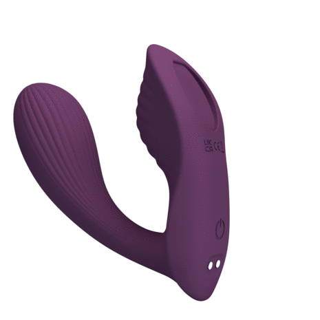 Pretty Love - Franz - Draagbare Vibrator - Panty Vibrator - Vibrerend Slipje - Paars