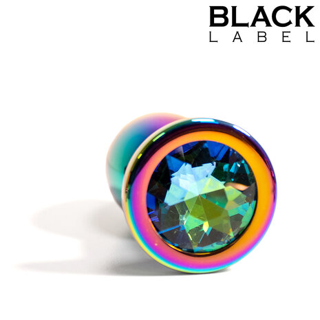Black Label - Metalen Buttplug met Siersteen - Rainbow - Small