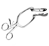 Kiotos - Ultieme Anaalspreider