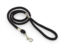 Rimba - SM Hondenriem