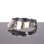 Kiotos Steel - Locking Collar Met Ring - 12 cm Kiotos Steel - Locking Collar Met Ring - 12 cm
