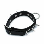 Kiotos - Zwarte Lederen Spiked Collar met O-Ring Kiotos - Zwarte Lederen Spiked Collar met O-Ring
