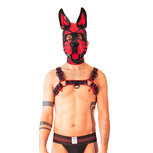 Brutus Vegan Bulldog Harnas - Zwart/Rood - Maat S/M Brutus Vegan Bulldog Harnas - Zwart/Rood - Maat S/M