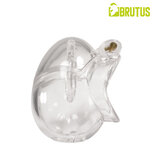 Brutus - Orb - Kuisheidskooi - Transparant