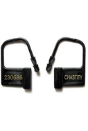 Plastic Slot Chastity per 10stuks