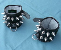 Leder Enkelboei