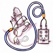Corona Cockhead Stimulator met Urethral Amplifier