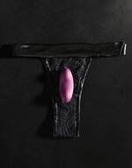 SVAKOM EDENY Vibrerend Slipje met Clitoris Vibrator - paars
