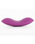 SVAKOM EDENY Vibrerend Slipje met Clitoris Vibrator - paars