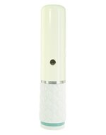 Pillow Talk - Feisty Stotende Vibrator Met handsfree houder - mintgroen