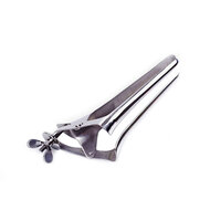 Kiotos - XXXL Speculum Van RVS