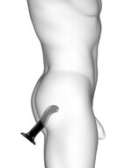 Strap-on-Me G-spot en P-spot Dildo - zwart - maat M