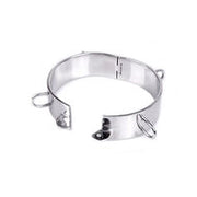Kiotos - Dungeon Collar RVS