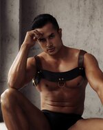 Liebe Seele - The Equestrian Leather Chest Harness - Leren Harnas Riemenbody