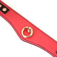 Liebe Seele - Angel's Kiss - Curved Collar Met Leash - Luxe En exclusief ontwerp - Roze/Zwart/Rosé Goud