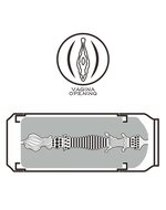 Lovetoy - Masturbator in Bierblikje - Pleasure Brew Blonde Ale Vagina Masturbator - Nude & Geel - TPE