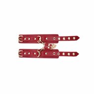 Kiotos - BDSM Fancy 5 Item Kit - Luxe Draagtas met 5 Verschillende BDSM Artikelen - Rood