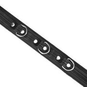 Liebe Seele - Black Bond - Eco-vriendelijke Collar Met Leiband - Nikkelvrije Hardware - Zwart