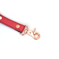 Liebe Seele - Angel's Kiss Exclusieve Leren Hogtie - Roze/Rosé Goud