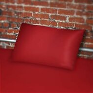 Sheets of SF - Vinyl Kussenhoes - 75 x 50 cm - rood
