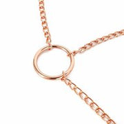 Kiotos - Rosé Gouden Tepelklemmen met Clitoris Klem - Elegant en Intens